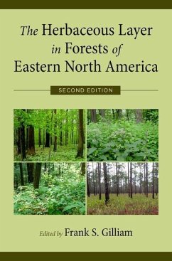 Herbaceous Layer in Forests of Eastern North America