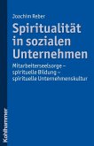 Spiritualität in sozialen Unternehmen (eBook, PDF)