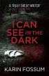 I Can See in the Dark - Bild 1
