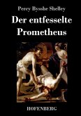 Der entfesselte Prometheus