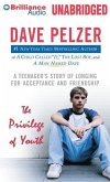 The Privilege of Youth: A Teenager's Story of Longing for Acceptance and Friendship