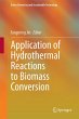Application of Hydrothermal Reactions... - Bild 1