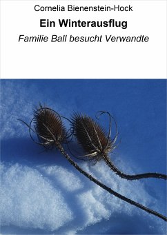 Ein Winterausflug (eBook, ePUB) - Bienenstein-Hock, Cornelia