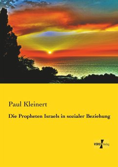 Die Propheten Israels in sozialer Beziehung - Kleinert, Paul