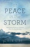 At Peace in the Storm (eBook, ePUB)