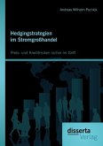 Hedgingstrategien im Stromgroßhandel: Preis- und Kreditrisiken sicher im Griff