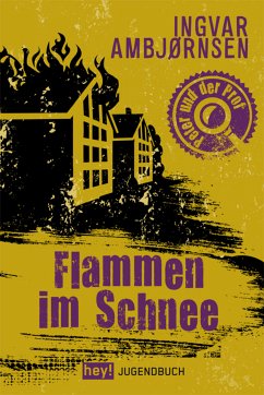 Flammen im Schnee (eBook, ePUB) - Ambjørnsen, Ingvar