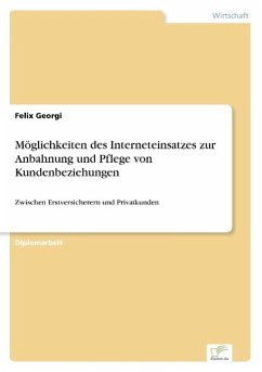 Möglichkeiten des Interneteinsatzes zur Anbahnung und Pflege von Kundenbeziehungen - Georgi, Felix