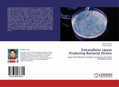 Extracellular Lipase Producing Bacterial Strains