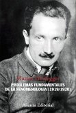 Problemas fundamentales de la fenomenología, 1919-1920