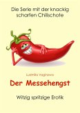 Der Messehengst (eBook, ePUB)