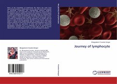 Journey of lymphocyte