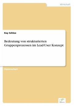 Bedeutung von strukturierten Gruppenprozessen im Lead-User Konzept - Schloe, Kay