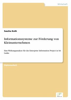 Informationssysteme zur Förderung von Kleinunternehmen - Koth, Sascha