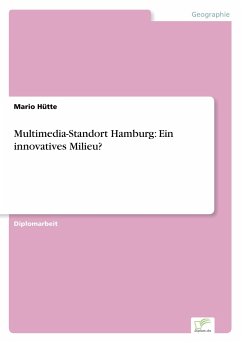 Multimedia-Standort Hamburg: Ein innovatives Milieu?