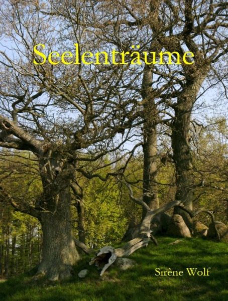 Seelenträume (eBook, ePUB) Seelenträume (eBook, ePUB)