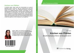 Knicken von Pfählen