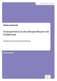 Genexpression in den Hauptzelltypen der Gefäßwand - Lorkowski, Stefan