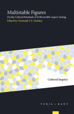 Cover Multistable Figures