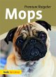 Mops - Bild 1