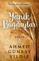 Yanik Bugdaylar - Günbay Yildiz, Ahmed