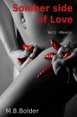 Somber Side of Love (eBook, ePUB)