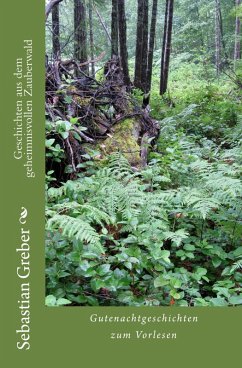 Geschichten aus dem geheimnisvollen Zauberwald (eBook, ePUB) - Greber, Sebastian