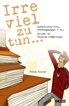Irre viel zu tun ... (eBook, ePUB) - Holler, Petra