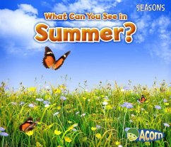 What Can You See in Summer? - Smith, Sian