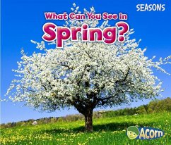 What Can You See in Spring? - Smith, Sian