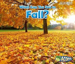 What Can You See in Fall? - Smith, Sian