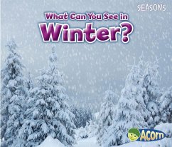 What Can You See in Winter? - Smith, Sian