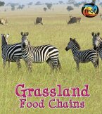 Grassland Food Chains