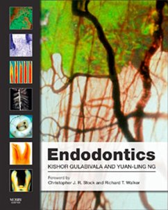 Cover Endodontics E-Book (eBook, ePUB)