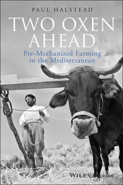 Two Oxen Ahead (eBook, ePUB) - Halstead, Paul