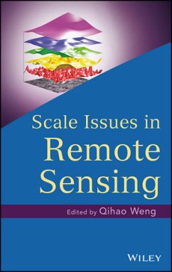 Scale Issues in Remote Sensing (eBook, PDF) - Weng, Qihao