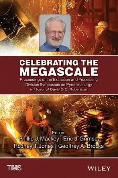 Celebrating the Megascale (eBook, PDF)