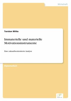 Immaterielle und materielle Motivationsinstrumente - Witte, Torsten