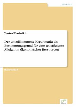 Der unvollkommene Kreditmarkt als Bestimmungsgrund für eine teileffiziente Allokation ökonomischer Ressourcen