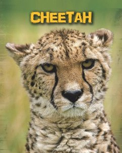 Cover Cheetahs (eBook, PDF)