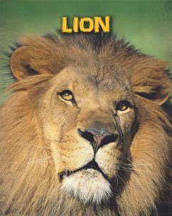 Cover Lions (eBook, PDF)