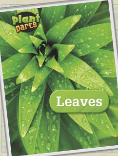 Leaves (eBook, PDF) - Waldron, Melanie