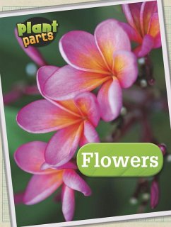 Cover Flowers (eBook, PDF)