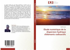 Étude numérique de la dispersion hydrique d'éléments radioactifs - Souissi, Riadh