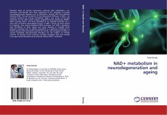 NAD+ metabolism in neurodegeneration and ageing