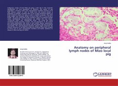 Anatomy on peripheral lymph nodes of Mizo local pig