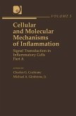 Cellular and Molecular Mechanisms of Inflammation (eBook, ePUB)
