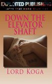 Down the Elevator Shaft (eBook, ePUB)