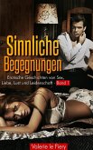 Sinnliche Begegnungen - Band1 (eBook, ePUB)