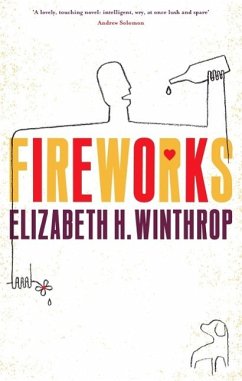 Cover Fireworks (eBook, ePUB)